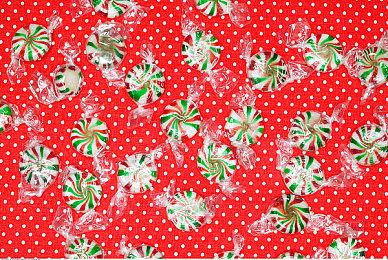 《宝可梦：朱＆紫》升级补丁效果成谜 玩家意见分两派