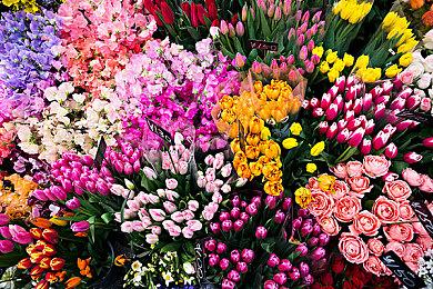 武侠策略经营单机项目《代号L》曝光 主角风格调查